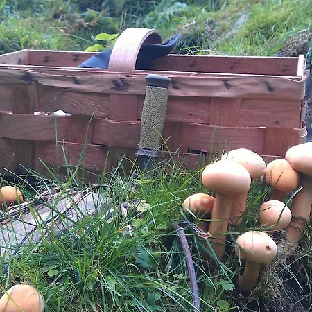 Διαμέρισμα Valdres Naturlegvis *