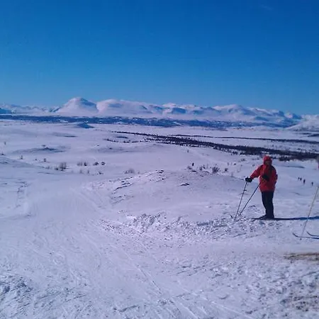 Valdres Naturlegvis