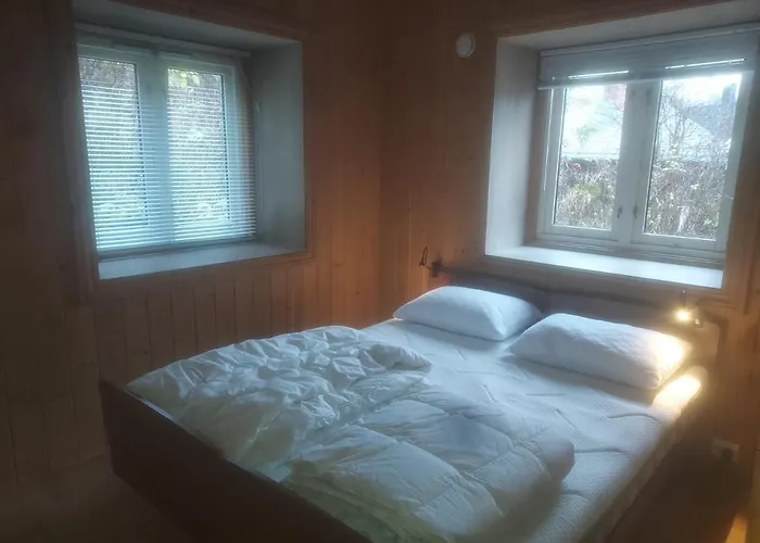 Valdres Naturlegvis * 法格纳斯