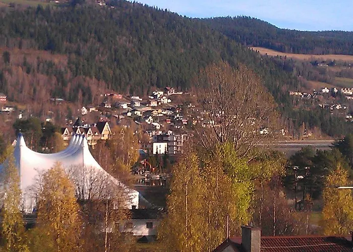 Valdres Naturlegvis