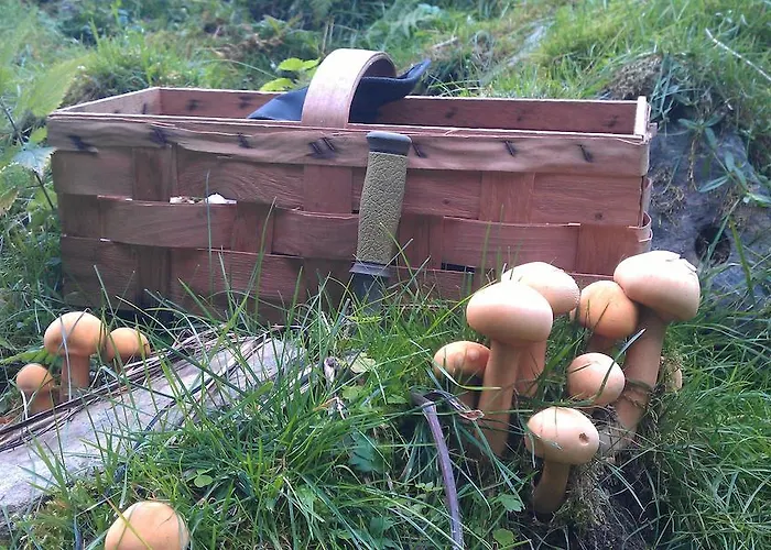 Διαμέρισμα Valdres Naturlegvis *