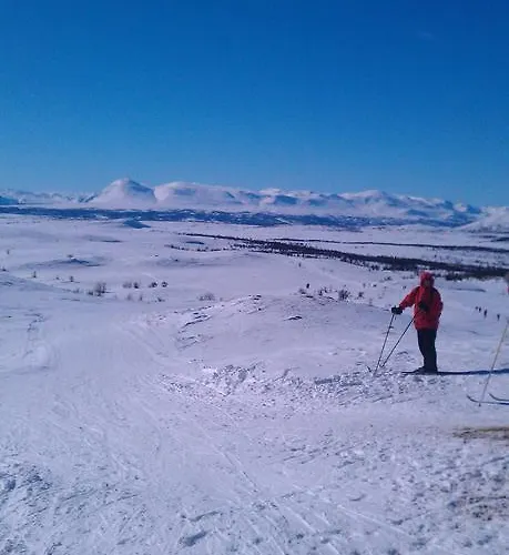 Valdres Naturlegvis
