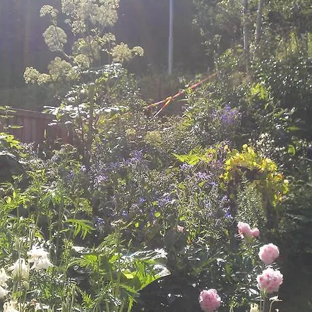 公寓 Valdres Naturlegvis