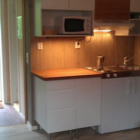 公寓 Valdres Naturlegvis *