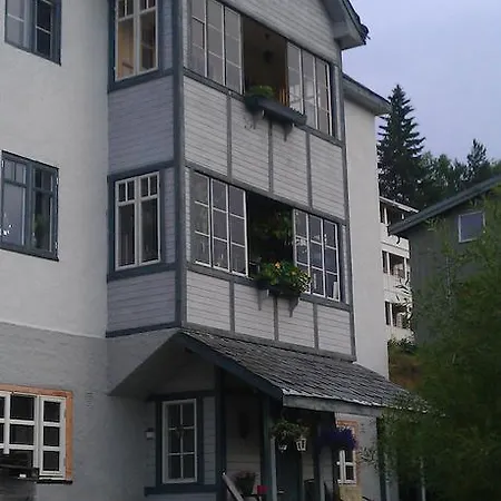 公寓 Valdres Naturlegvis