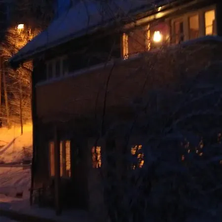 公寓 Valdres Naturlegvis 法格纳斯